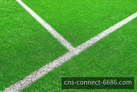 6686体育 赛事实时流媒体转播与数字化数据架构